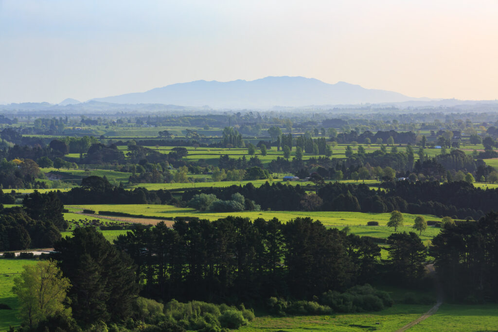 Ngāti Koroki Kahukura